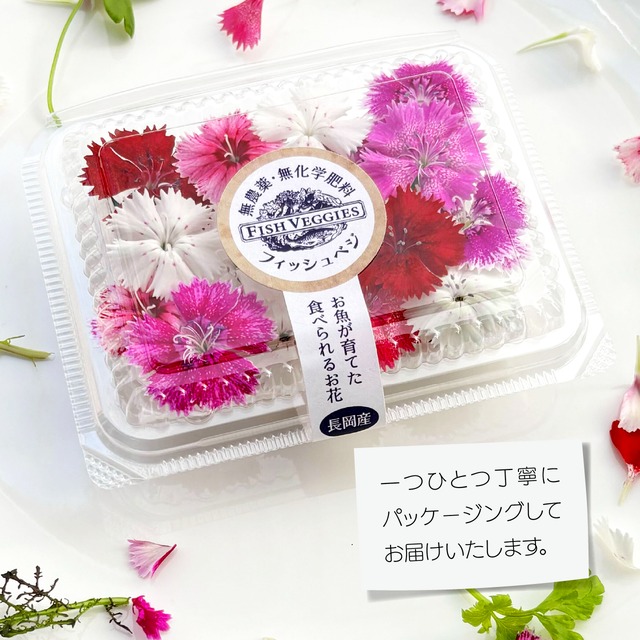 【エディブルフラワー】なでしこ　16輪程度　化学肥料/化学農薬不使用の安心して食べられるお花