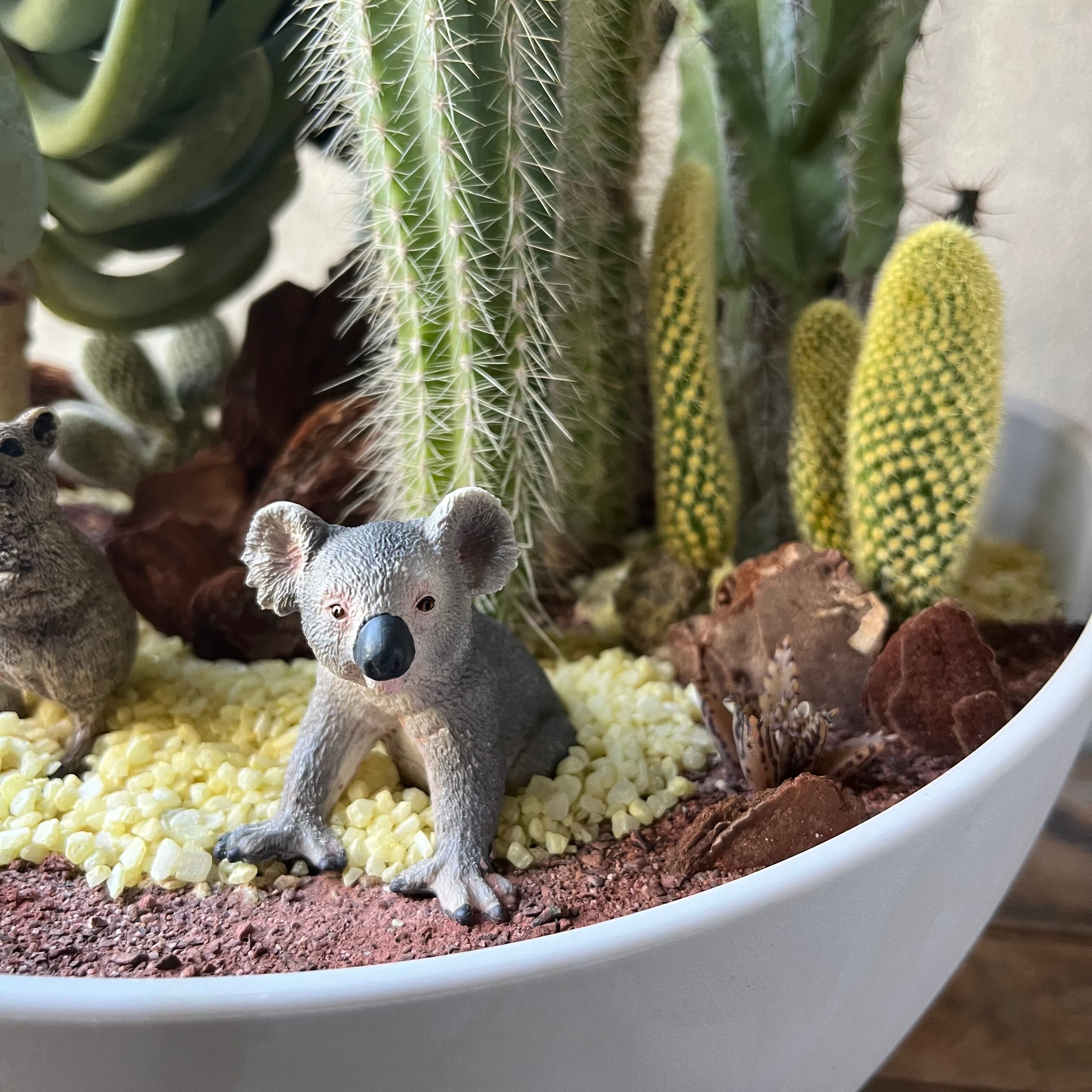 AUSTRALIA ISLANDS | SABOTEN MISSILE