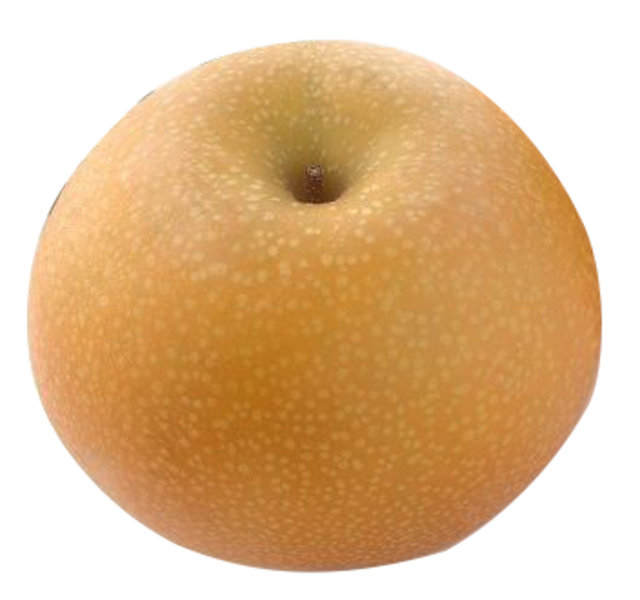 あきづき　家庭用3kg（6〜8個）