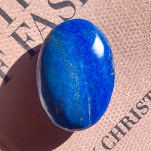 Lapis Lazuli Palm 11 ✧ ラピスラズリ
