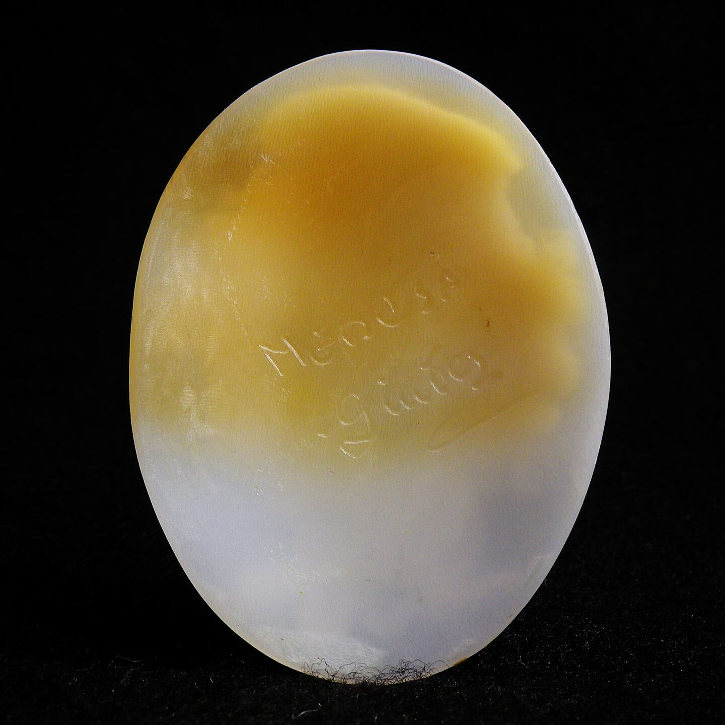 ジュゼッペ・テゾリエーレ作 三層良品 ”メデューサ” | Cameo Erynceleblas