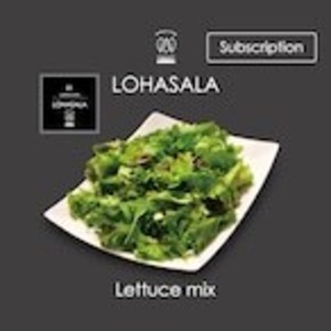定期　LOHASALA　レタスミックス　小分け15個×100g　無洗LED栽培野菜