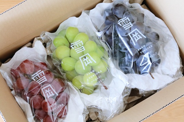 【2025年9月】旬のおすすめぶどう詰め合わせ －上－ 2キロ