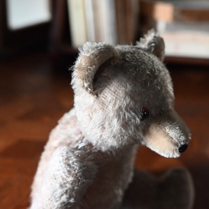 Teddy Bear / テディベア〈 ぬいぐるみ・くま・オブジェ・ディスプレイ・アンティーク・ヴィンテージ 〉