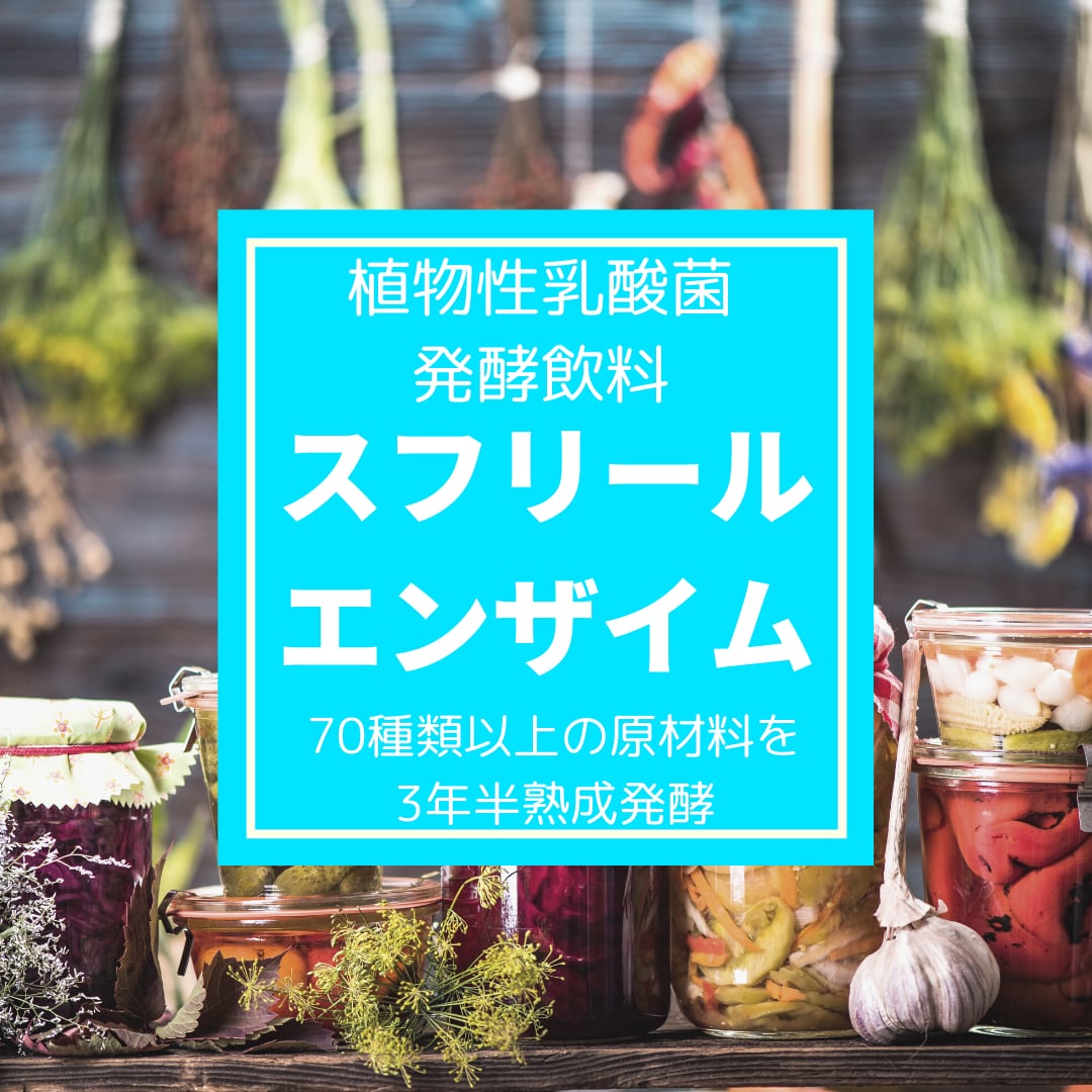 81%OFF!】【81%OFF!】ベルスフリール エンザイム2本セット ダイエット