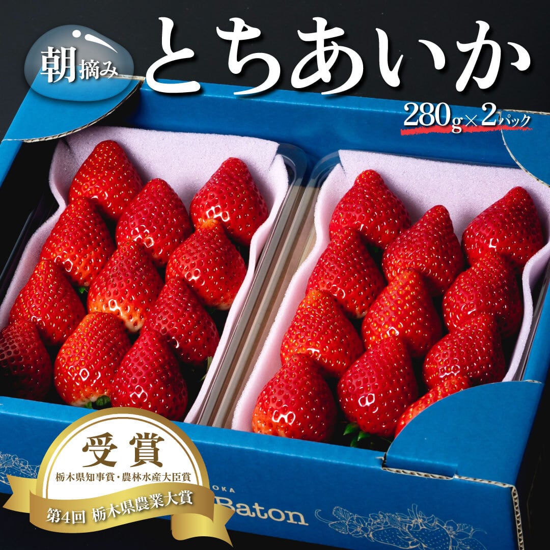 とちあいか 青箱(平パック入り2P) | Berry's Baton（ベリーズバトン