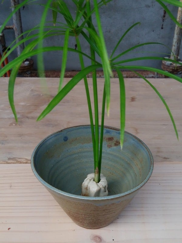 卓上花器 バケツ形 水色マット 青陶舎 やちむんと琉球ガラスなどのうちなーむんのお店 うぃーりきさん
