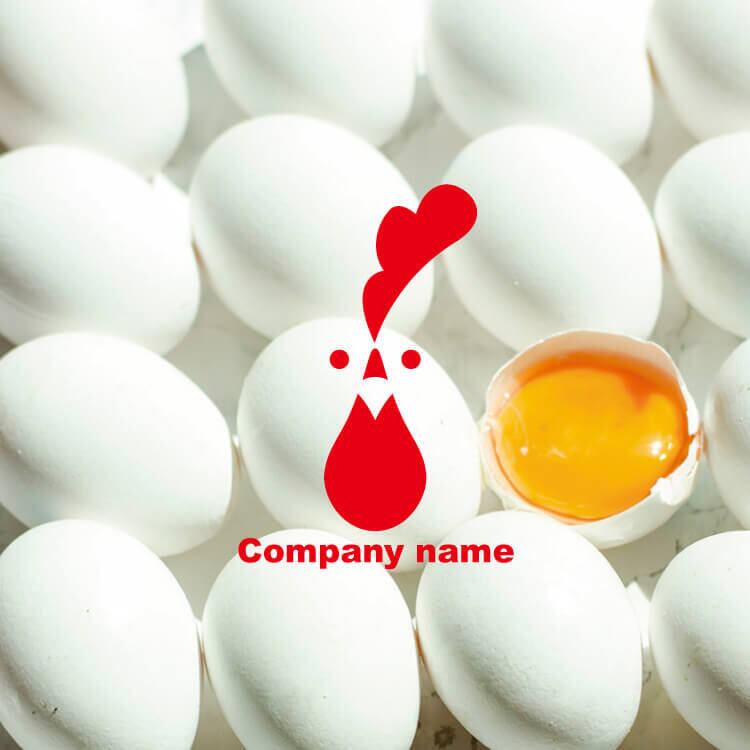 f33cafdea7a889f137a02e25f544bd