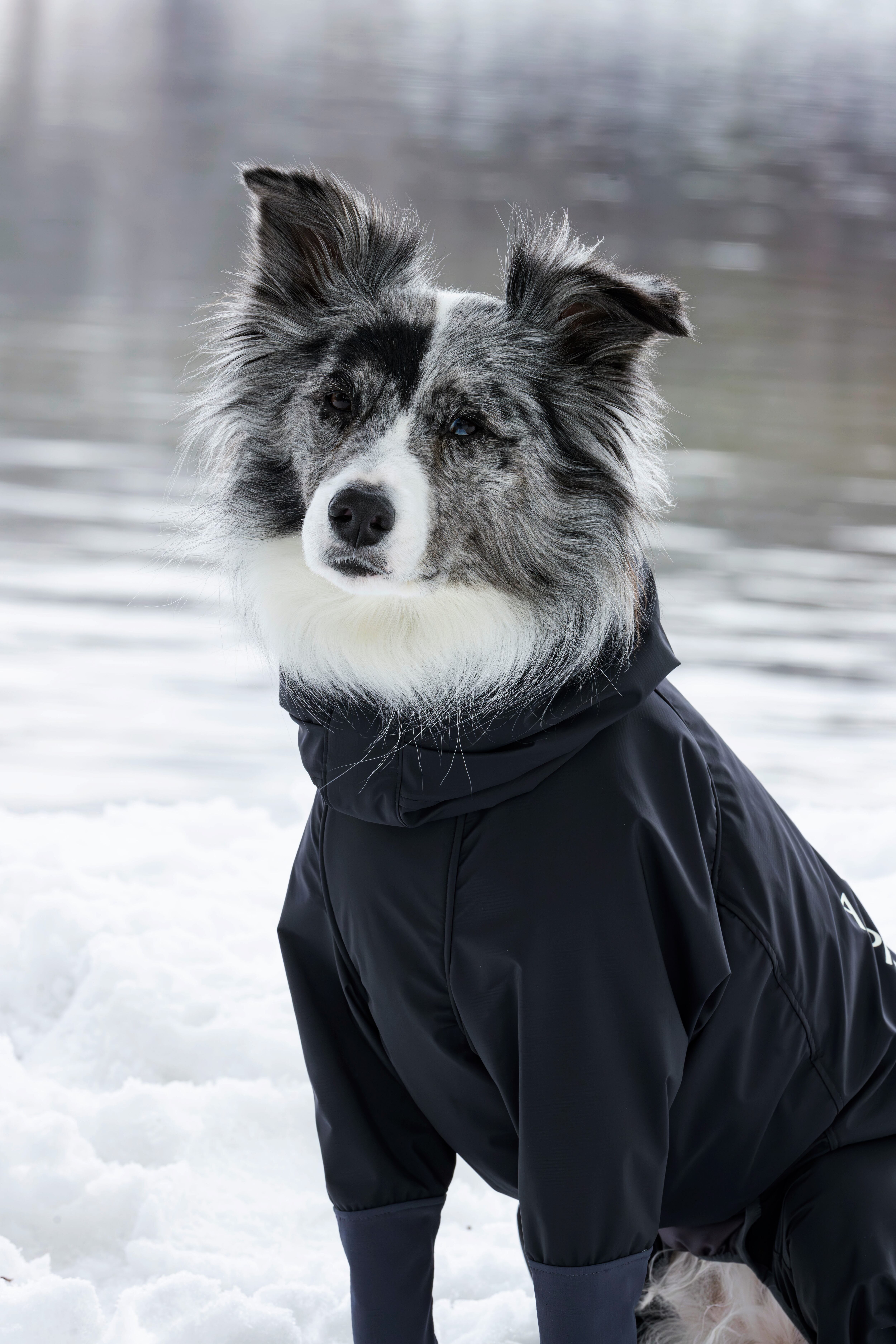 4L】SNOW DOG GUARD スノードッグガード ALPHAICON アルファアイコン 
