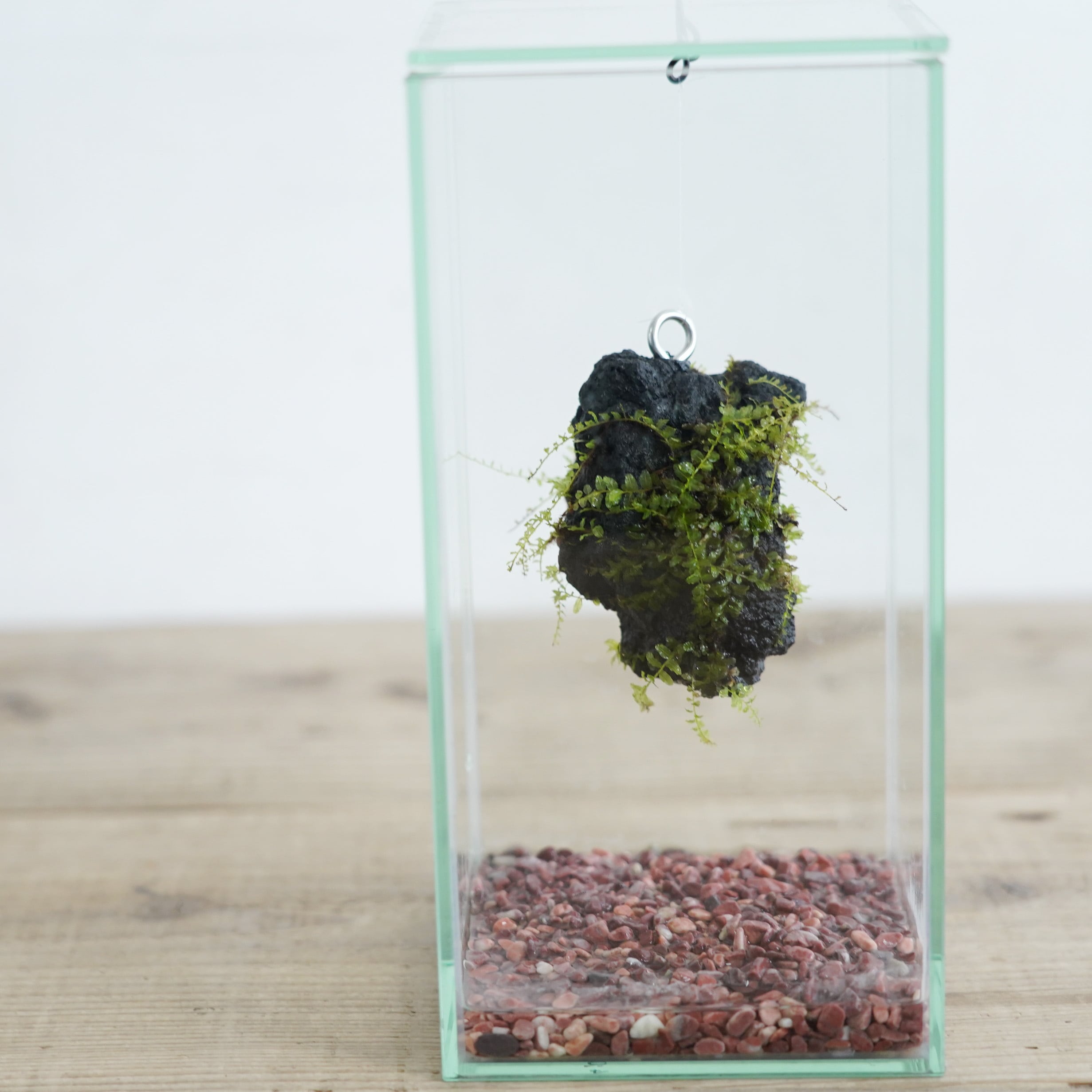 蔓の容器 【公式通販】