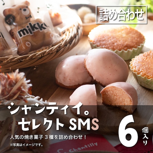 シャンティイ。セレクトSMS【６個入り】（スマイルマドレーヌ・ミッケ・いちごケーキ）