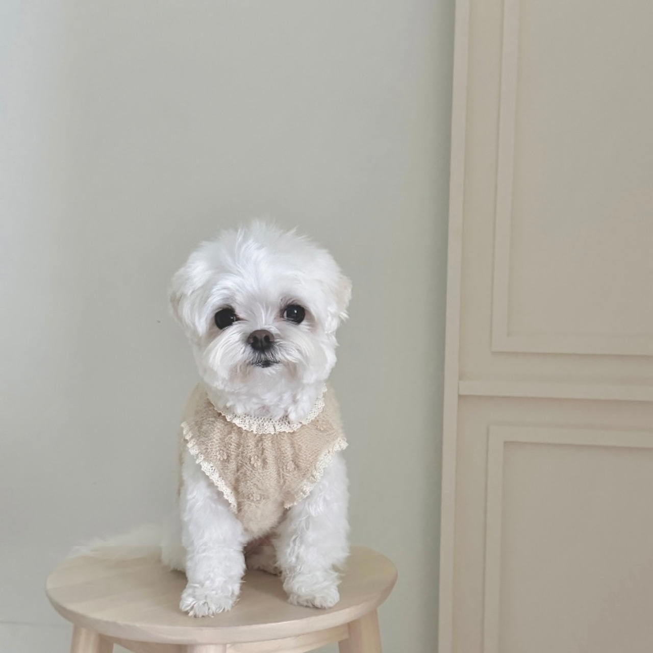 【即納】EYOU ボドリ セーター｜ベージュ - 1