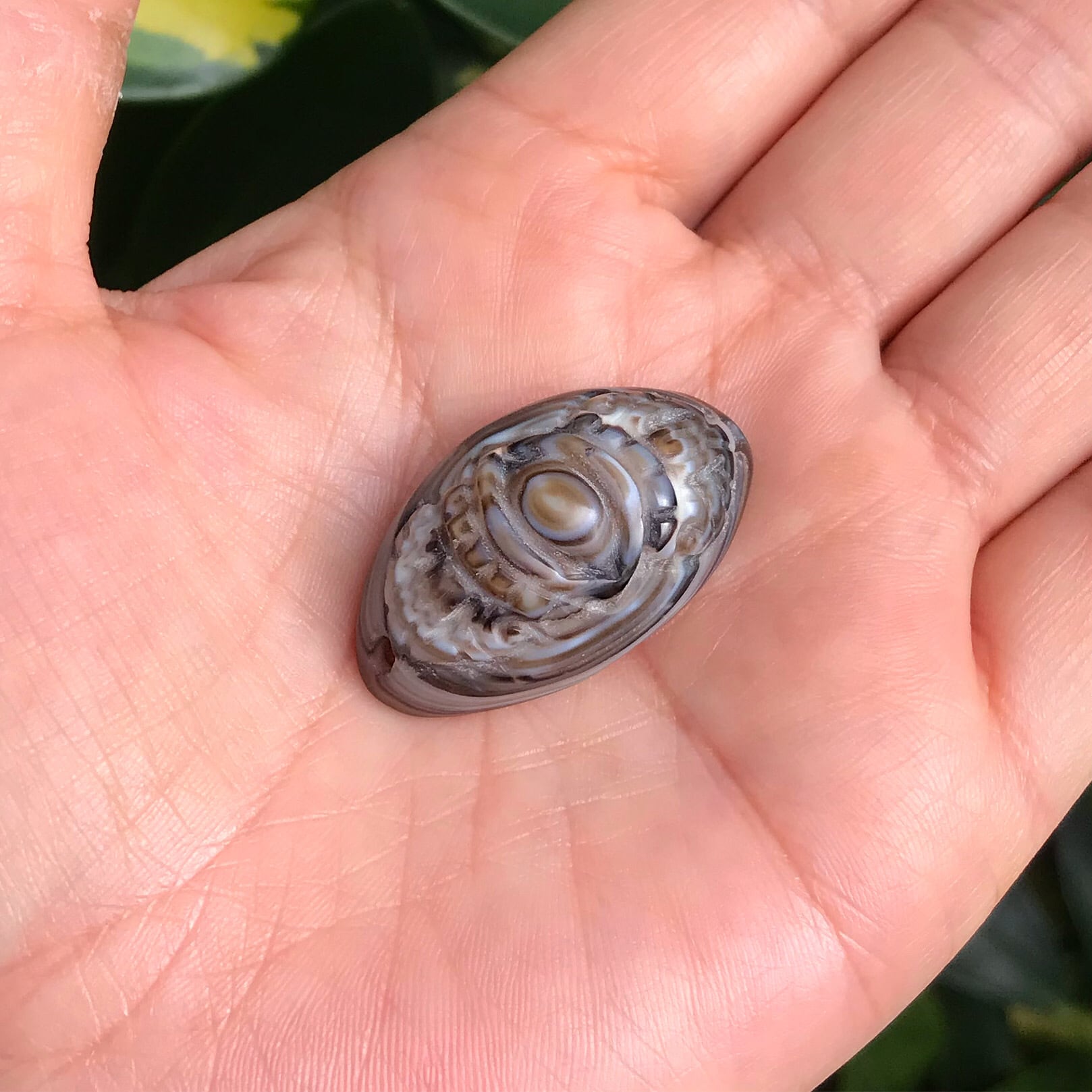 三眼 ブッダアイ 仏眼 三眼 ブッダアイ 仏眼