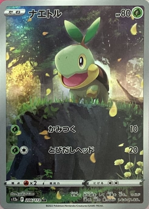 【美品】ナエトル(AR)