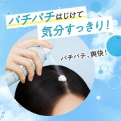 Merit メリットデイプラス ドライシャンプー 130g