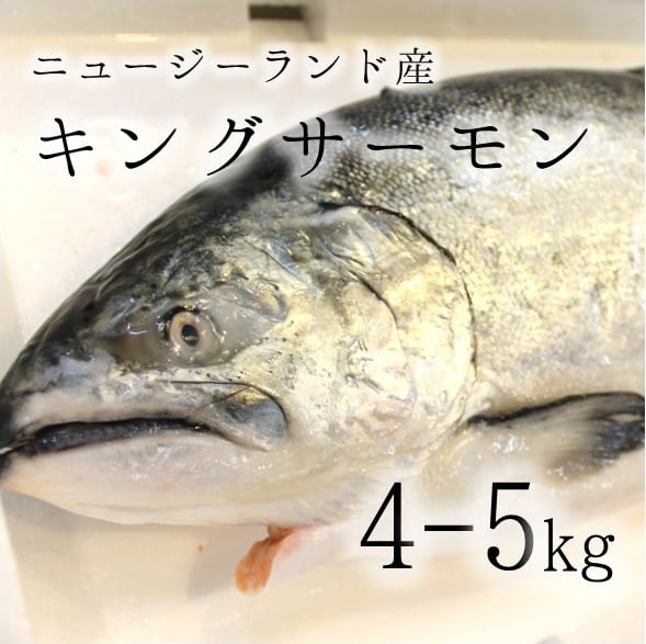 他　キングサーモン　ニュージーランド産　豊洲直送　丸一本　冷蔵　4-5kg　腹抜き（内臓抜き）【NZ産キングサーモン4-5K】　okawari　豊洲直送の高級海産物をお届け