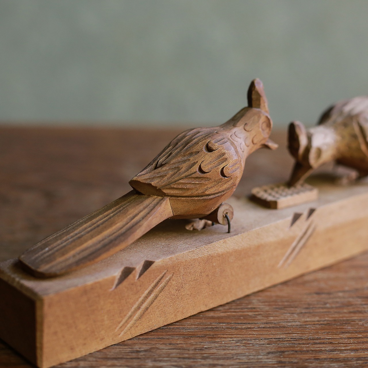 餌をつつき合う、仲睦まじい鳥