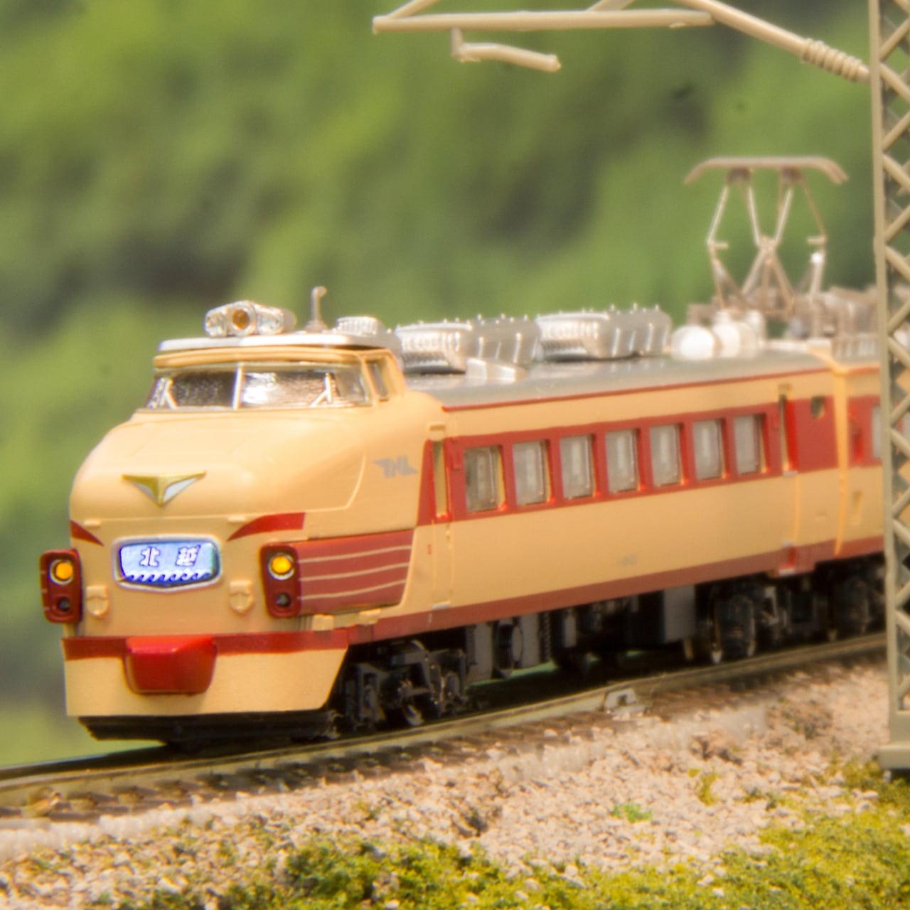 T019-10 C11形蒸気機関車 123号機 東武鉄道SL「大樹」 タイプ (TOBU