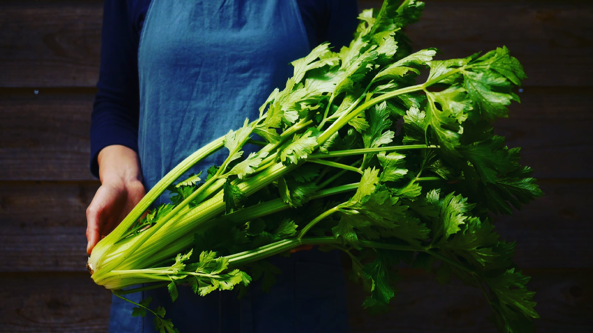 セロリ 1株約500g Mhs Organic Farm Store