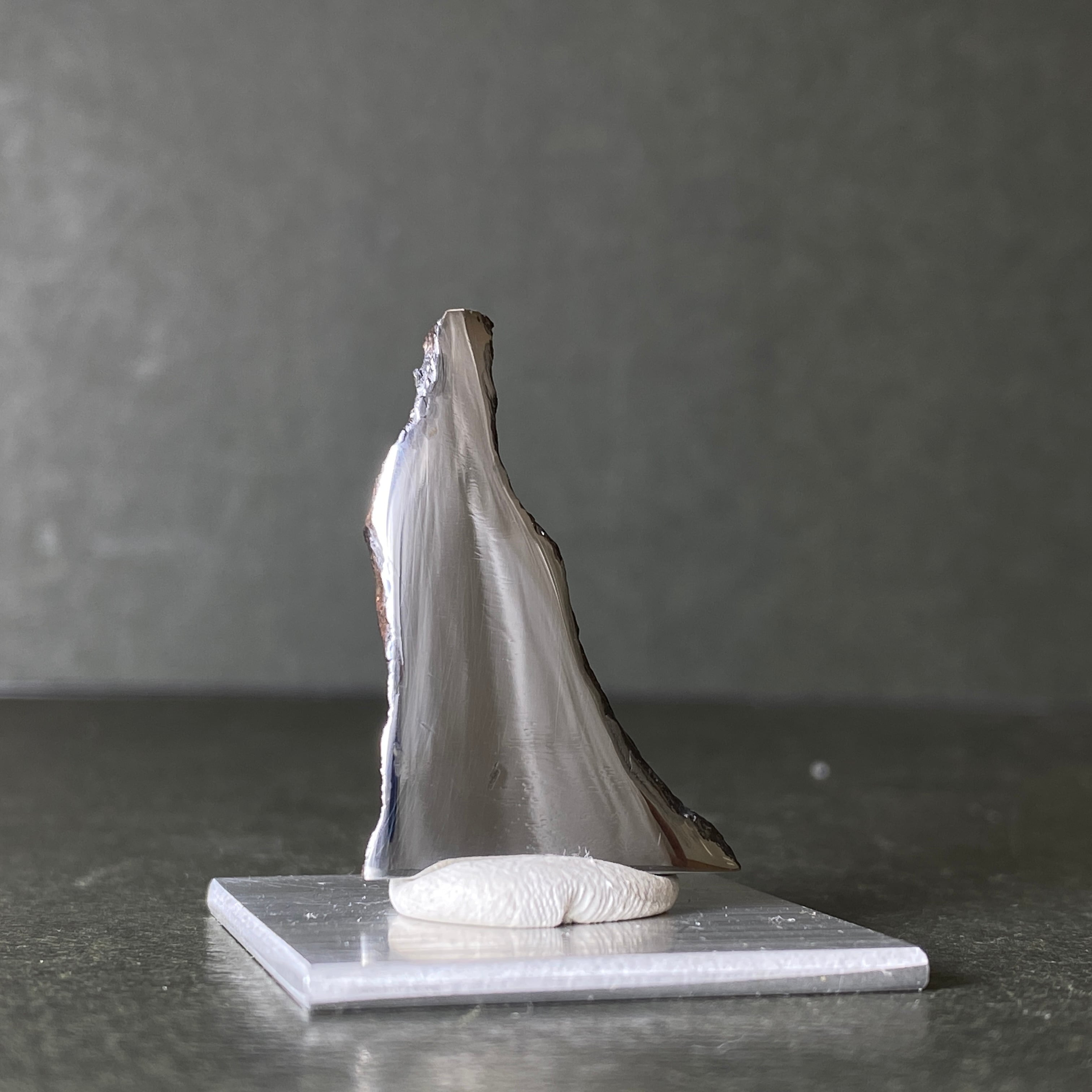 大型】チンガー隕石 Chinga Meteorite 23111301 | 【隕石屋】METEOS