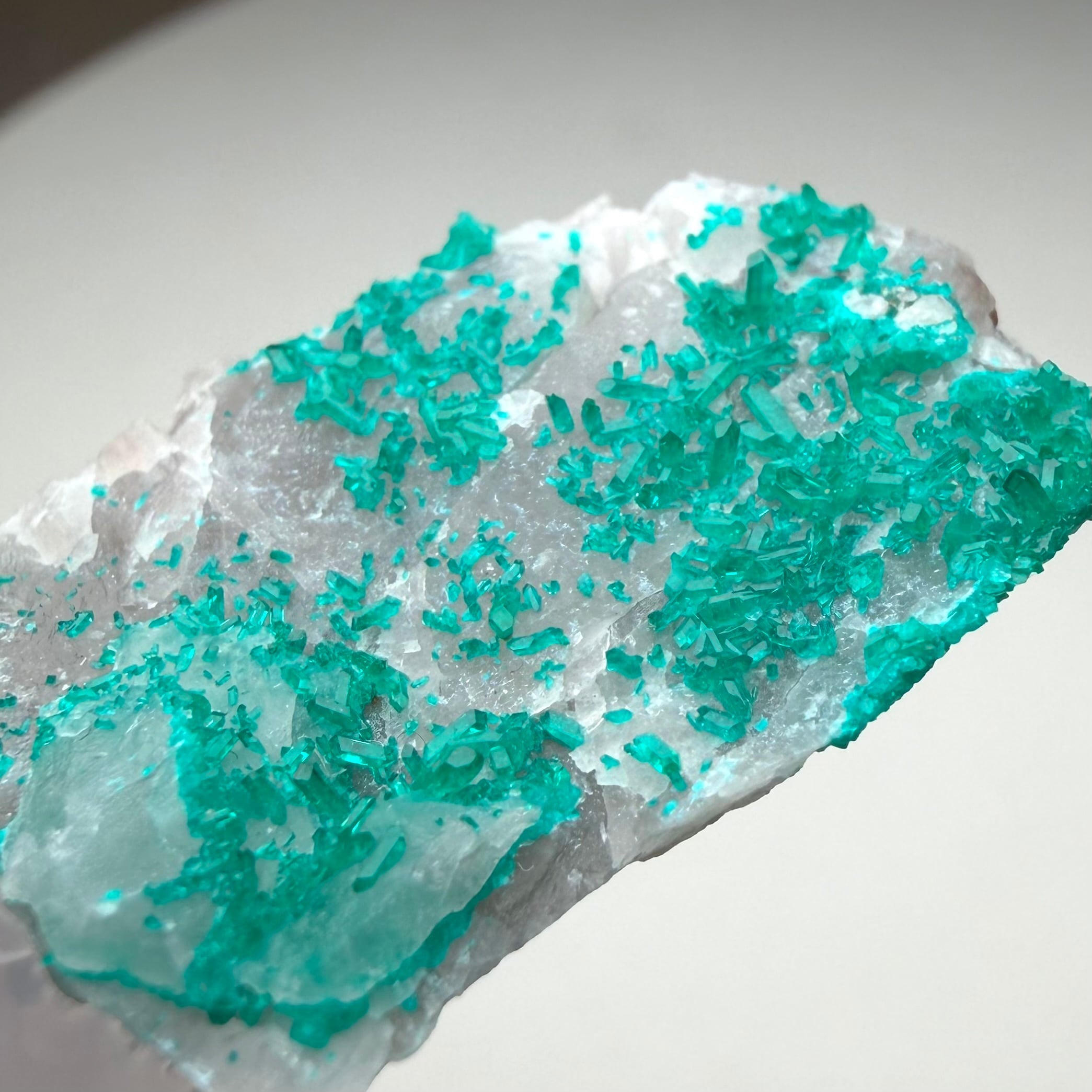 ダイオプテーズ / カルサイト【Dioptase on Calcite】ナミビア産