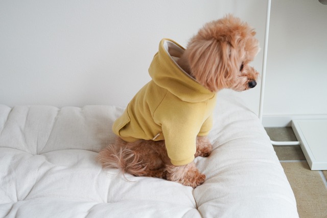 【ミニ裏毛 ニュアンスカラー フーディー 】全6色