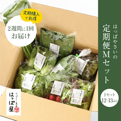 はっぱやさいの定期便Mセット／1セット12～13品目【2週間】