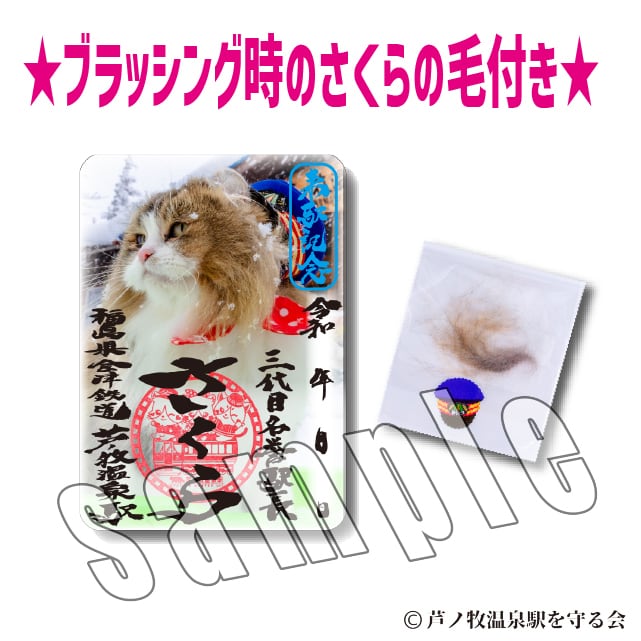 2026年2月(限定デザイン)特別タイプ御朱印 | Station Master Cat