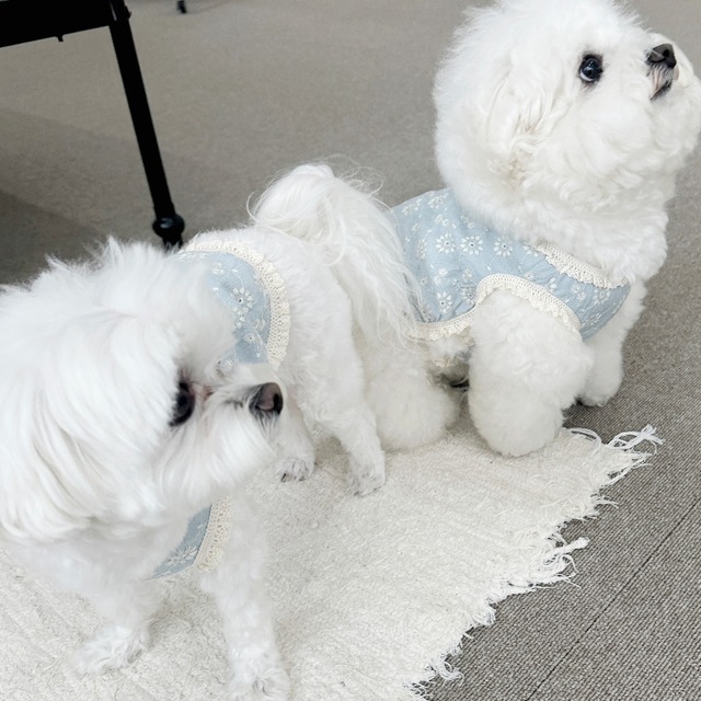 〈即納アイテム〉EYOU ノースリーブ / キャンディバーフォレスト（ブル-/ベージュ)