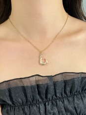 Fish hook necklace