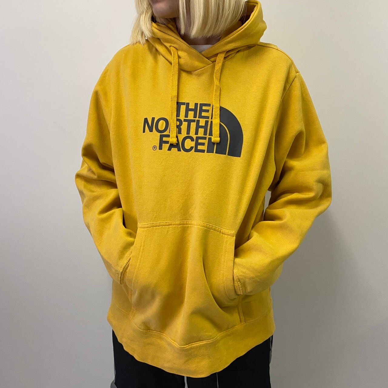 THE NORTH FACE 美品 ビックロゴパーカー