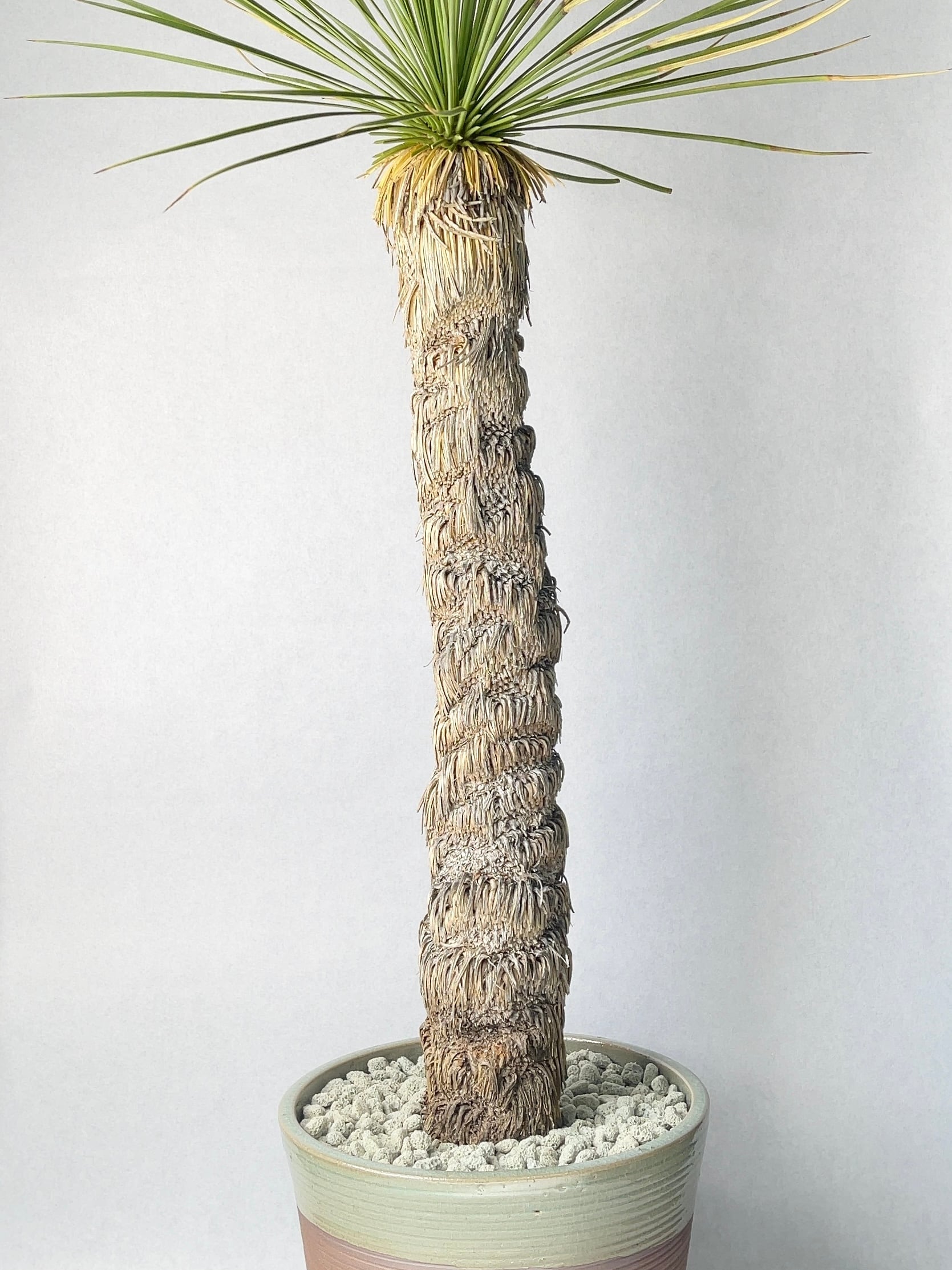 化粧石 化粧石 白・L 1L | trigger