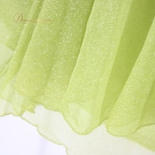 社交ダンス 衣装 スタンダード ドレス ワンピース レッスンウェア パーティ衣装 オールシーズン ICHIOKU イチオク 黄緑 グリーン系 光沢 フェミニン ダンスウェア ショートドレス おしゃれ 伸縮性 ライトグリーン ダンスパーティ レッスン着 楽器演奏用 女性用 衣装セット 体型カバー 軽量 通気性 かわいい