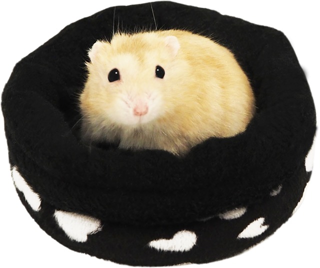 【小動物】ハートのプチカップ　 ブラック