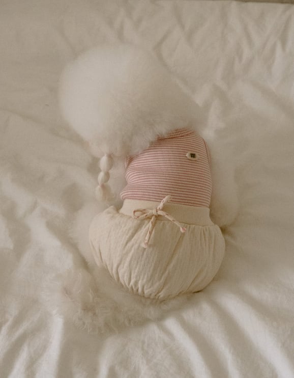 予約【noutti】Bebe All-in-One（pink）