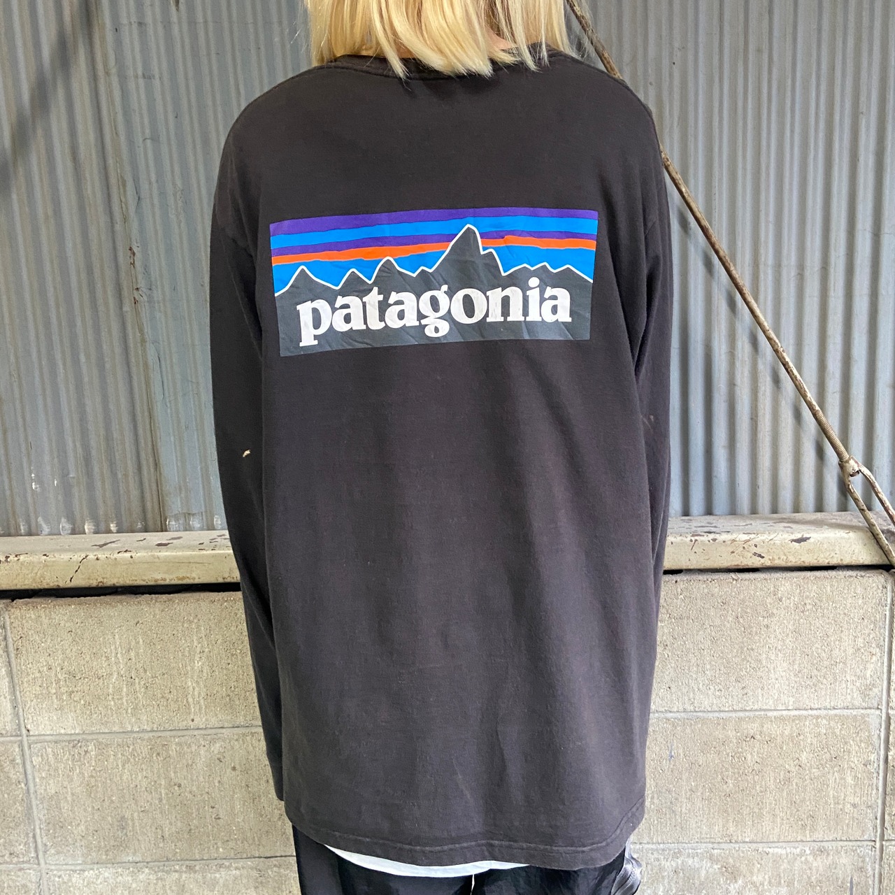 patagonia パタゴニア 胸ロゴ バックプリント ロングTシャツ ロンT 