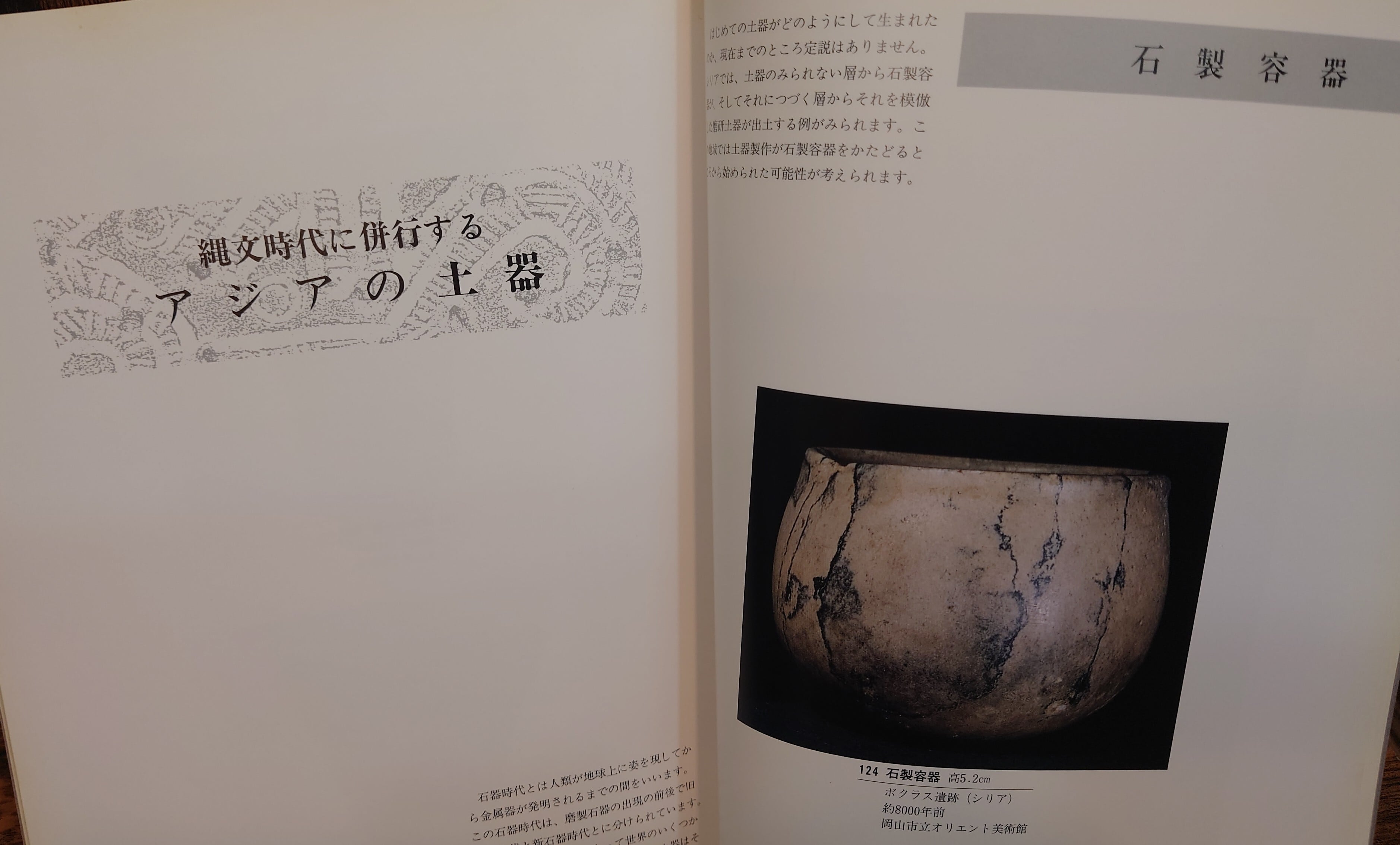 特別展 縄文土器の世界 図録 | 弥生坂 緑の本棚