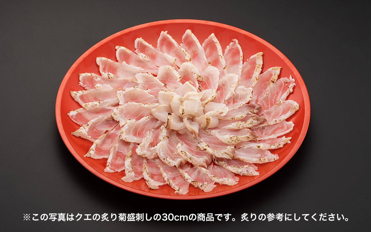 クエの炙り菊盛刺40㎝・鍋セット（40cm皿付：5〜6人前）