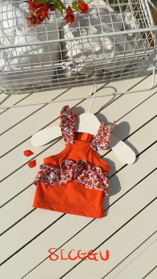 DOGWEAR CoolT　×　ORANGE