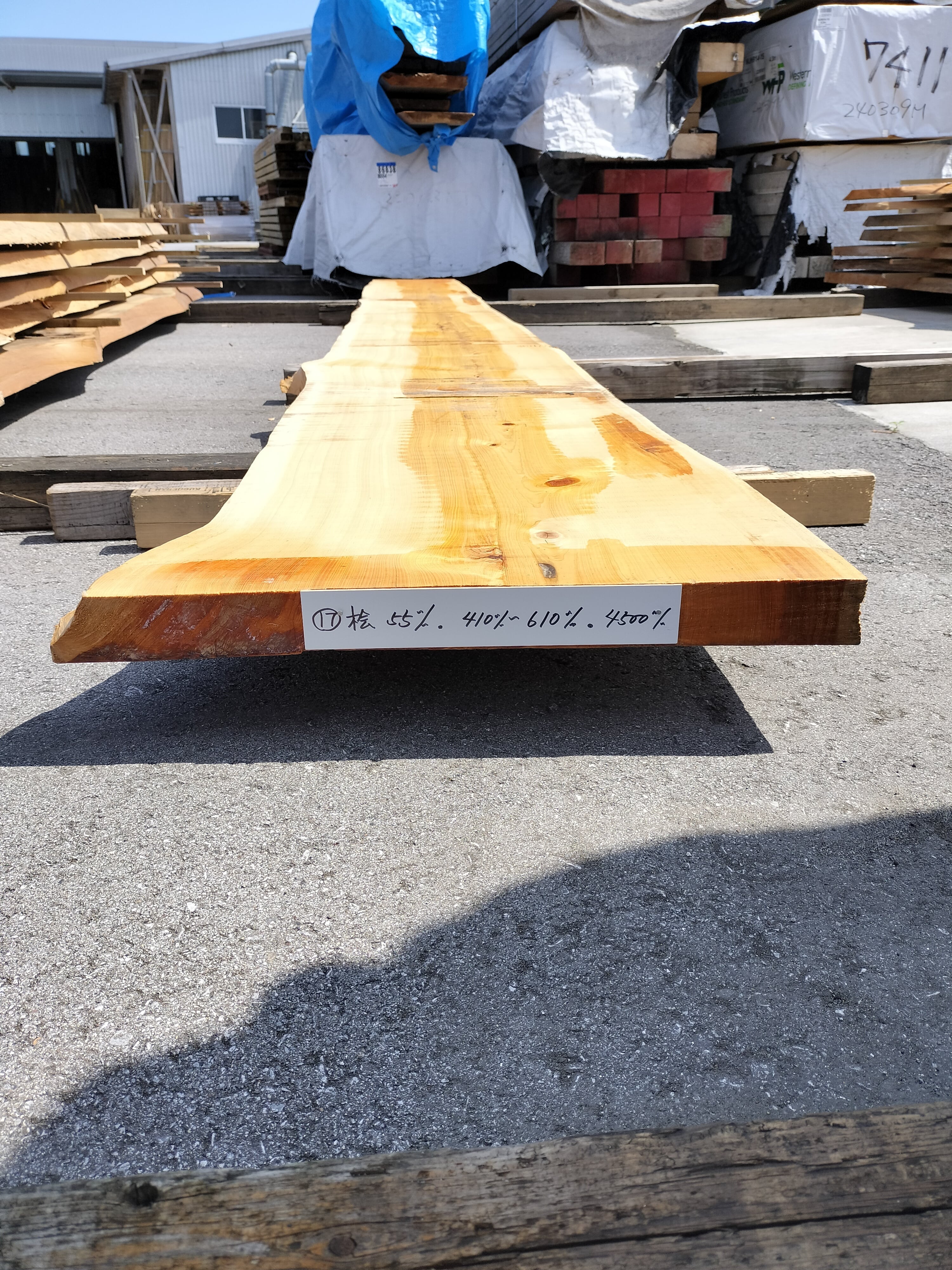 耳付盤木(桧)No.17