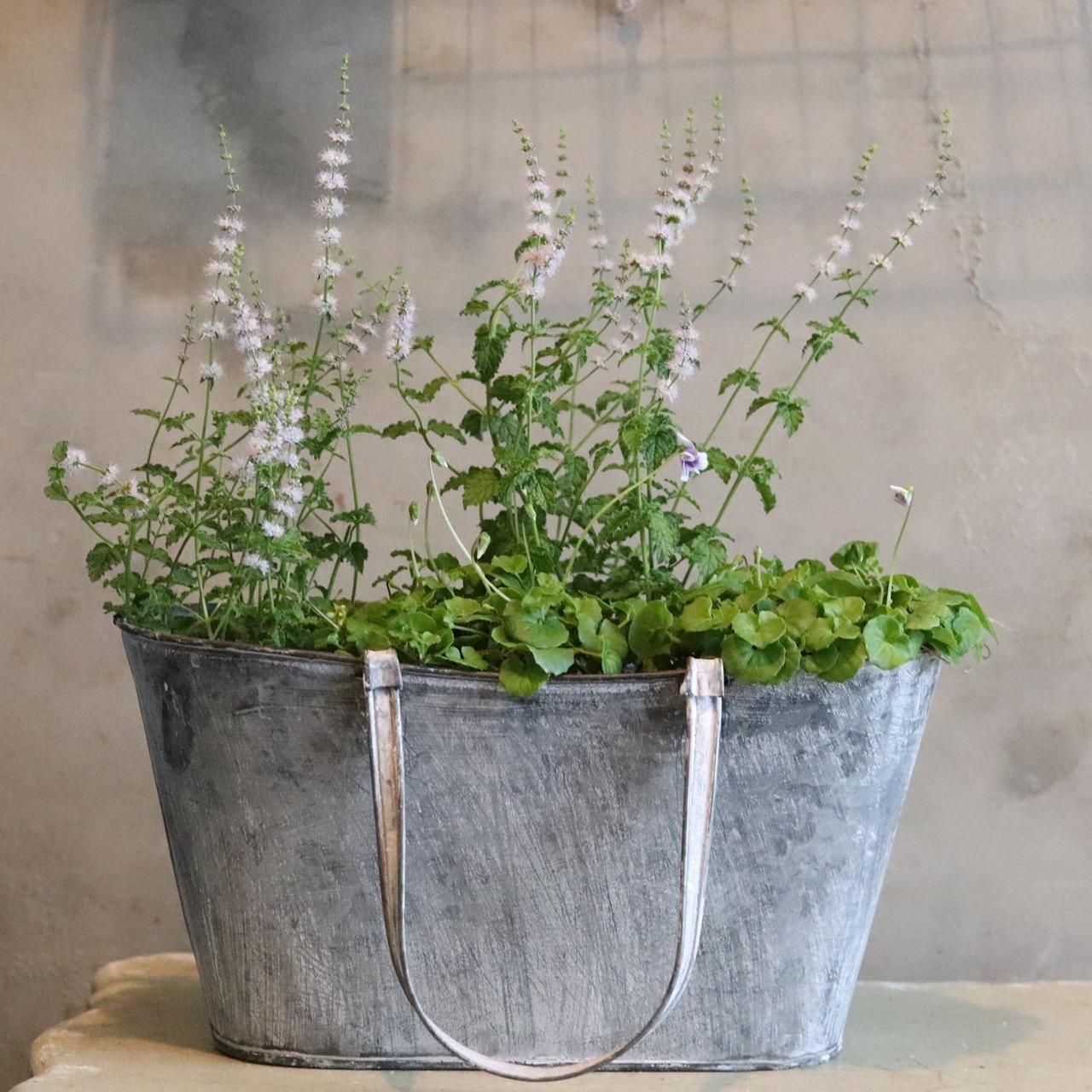 ブリキ植木鉢 　ブリキバッグL　シャビーシック　オシャレ　4063