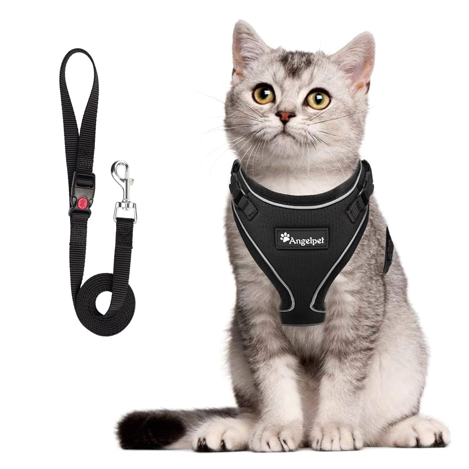 7日間レンタル】エルデ ペット用自動血圧計（犬猫用） | Pay ID