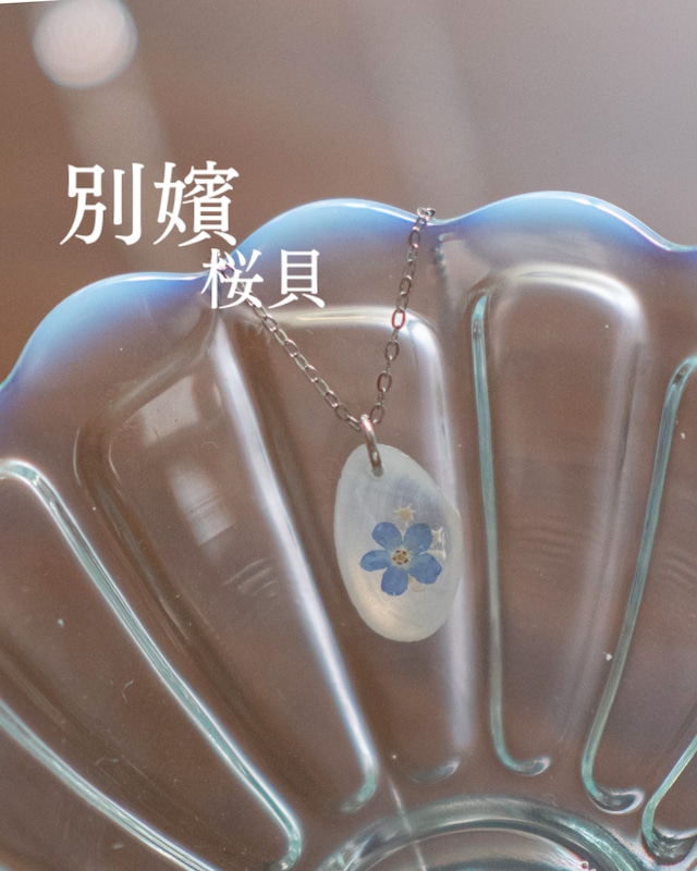 【別嬪桜貝】さくらひとえ 忘れな草と星砂 ネックレス S #092307