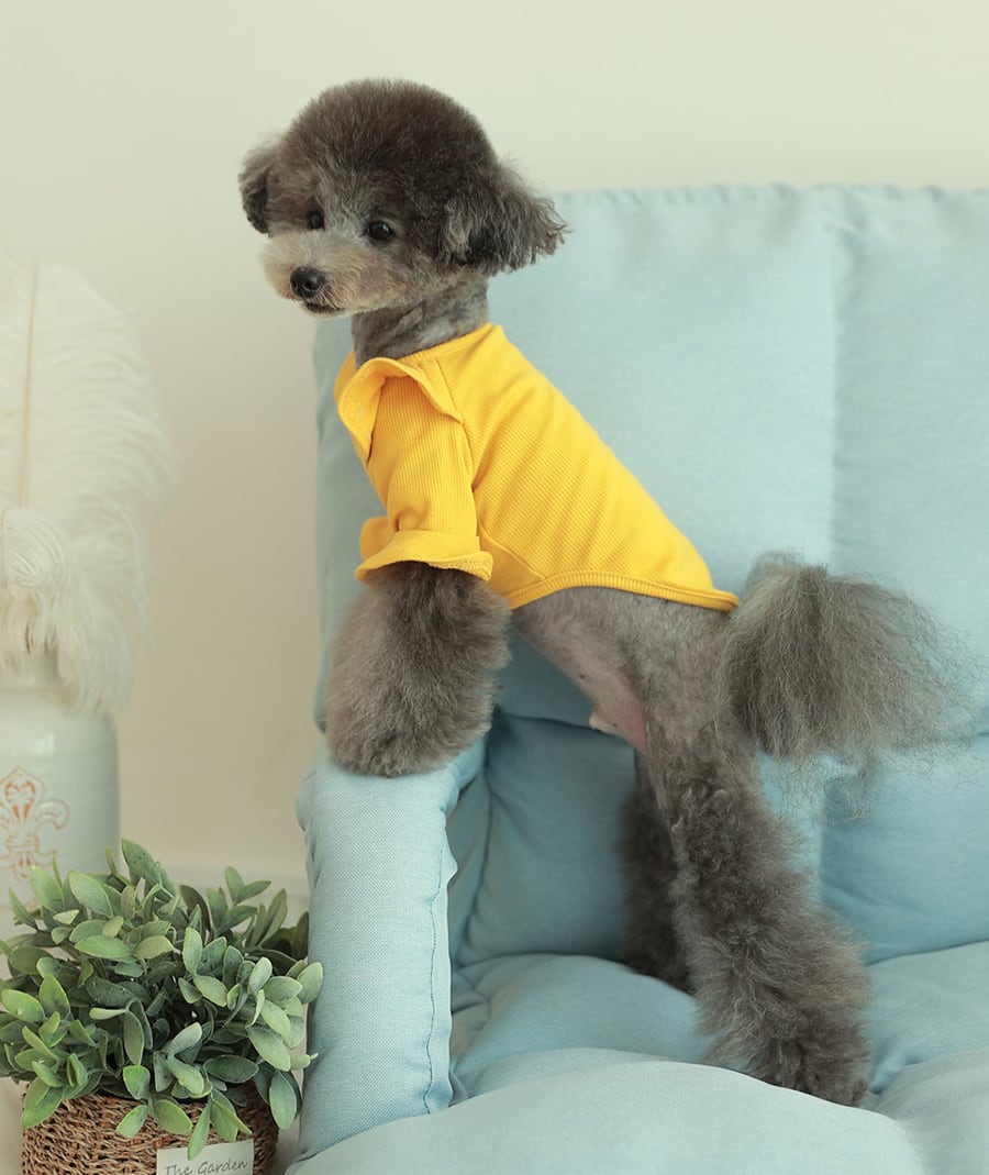 purina t-shirt S ~ XL 4color  /  犬服 秋冬 Tシャツ ブラウス 上品 可愛い ワンコ服 ストレッチ 犬の服 長袖 無地 ドッグウェア フリル シンプル ニット お揃い ハイネック 韓国ワンコ服 小型犬 中型犬