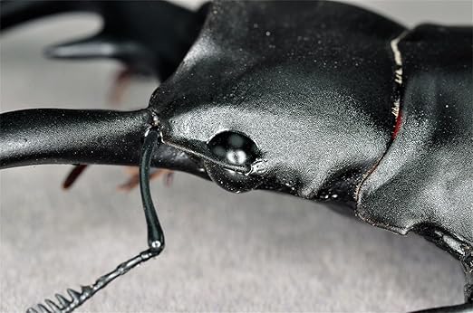 f372c73512221d10e070363e171168