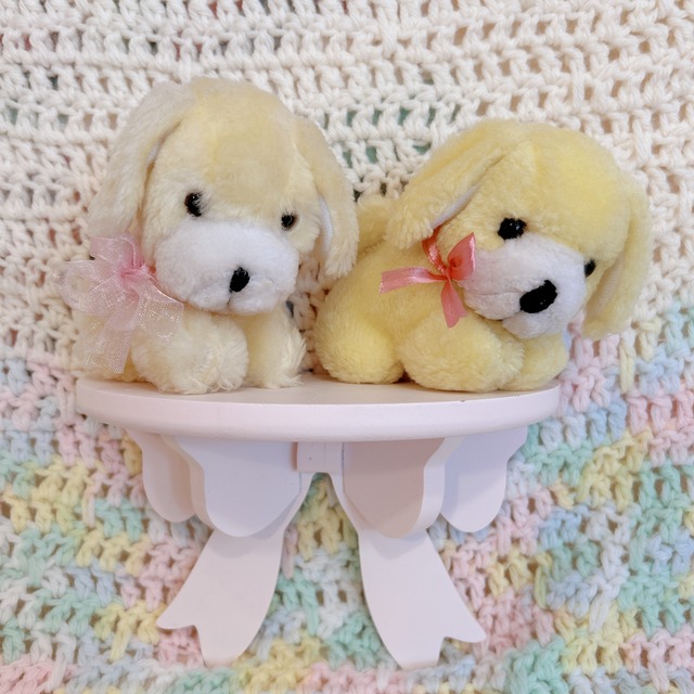 yellow dogの画像