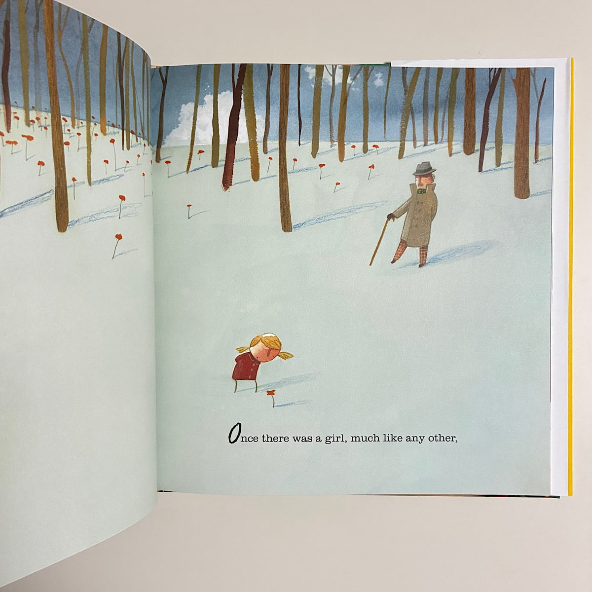 The Heart and the Bottle | 素敵な洋書絵本のお店 Read Leaf Books
