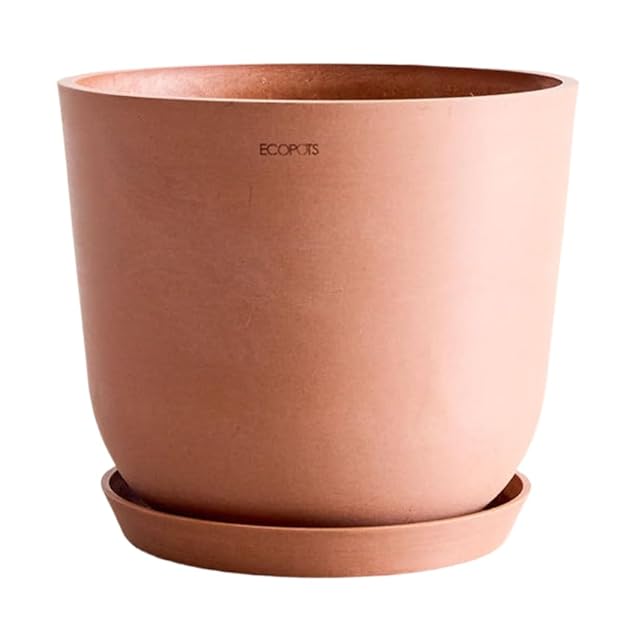 ECOPOTS Oslo エコポッツ AND PLANTS アンドプランツ (3.トープ