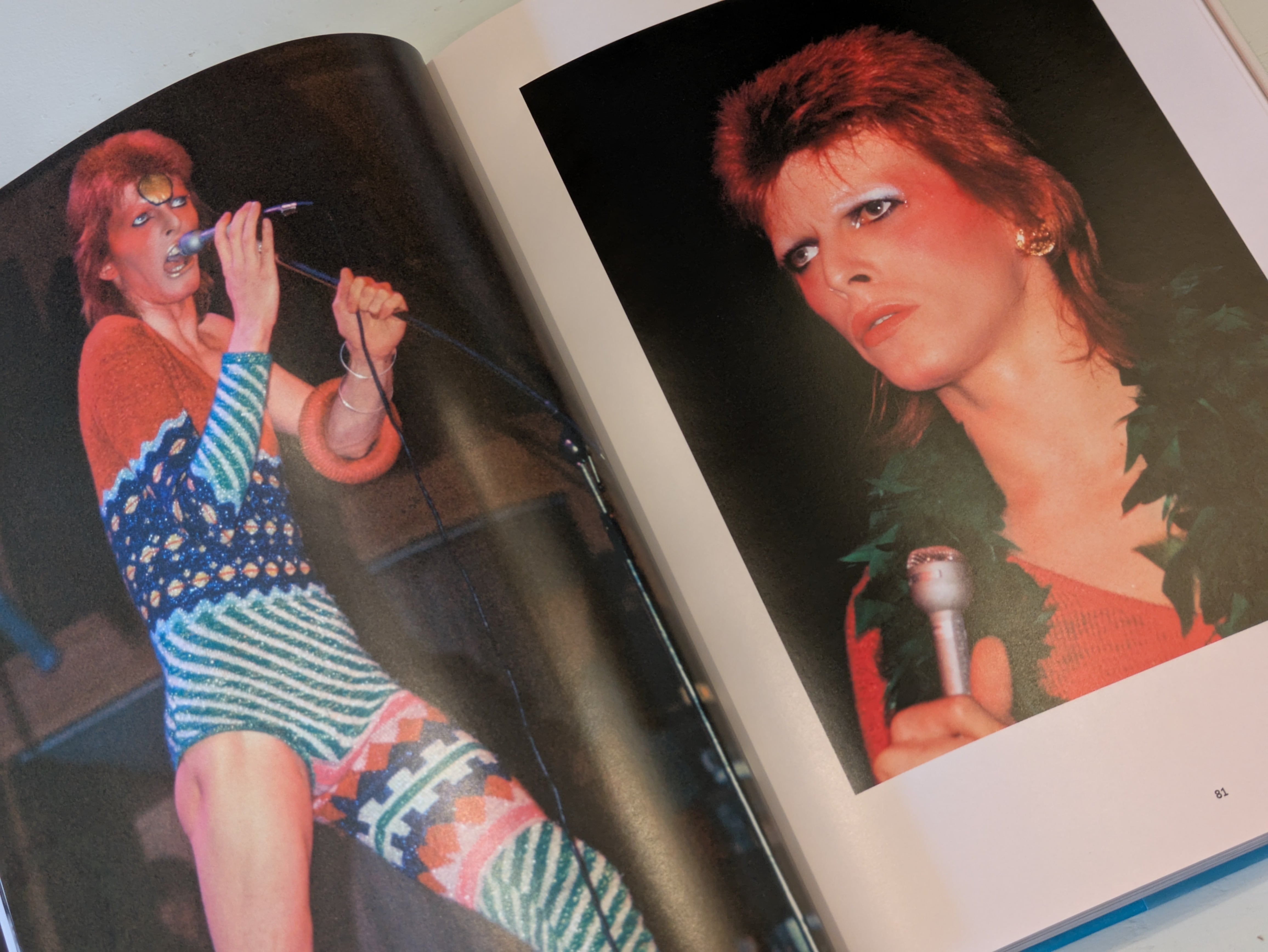 The Rise of David Bowie 1972–1973 : Mick Rock / デヴィッド・ボウイ