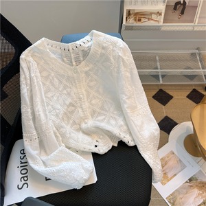トップス レース シャツ カットソー トップス 長袖 レースブラウス レディース ラウンドネック レース 刺繍 透け感 薄手 シンプル 大人 上品 おしゃれ レトロ とろみ感 春 秋  お出かけ 休日 旅行 普段使い 韓国系 スタイル 送料無料 S M L XL ホワイト ベージュ